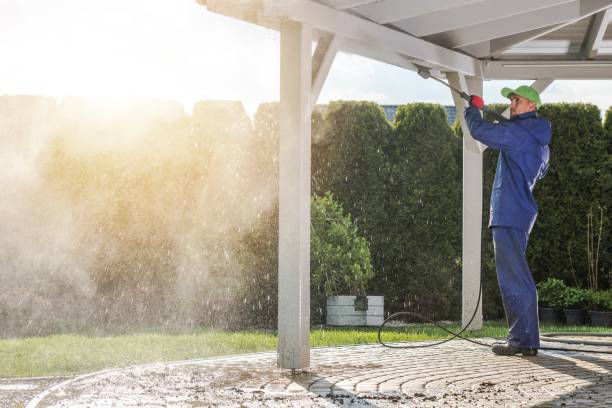 Best Roof Washing  in Seth Ward, TX