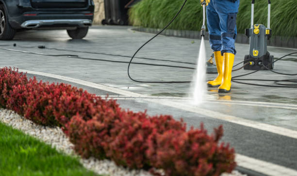 Best Soft Washing  in Seth Ward, TX